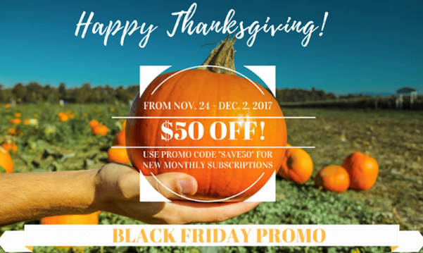 thanksgiving promo example